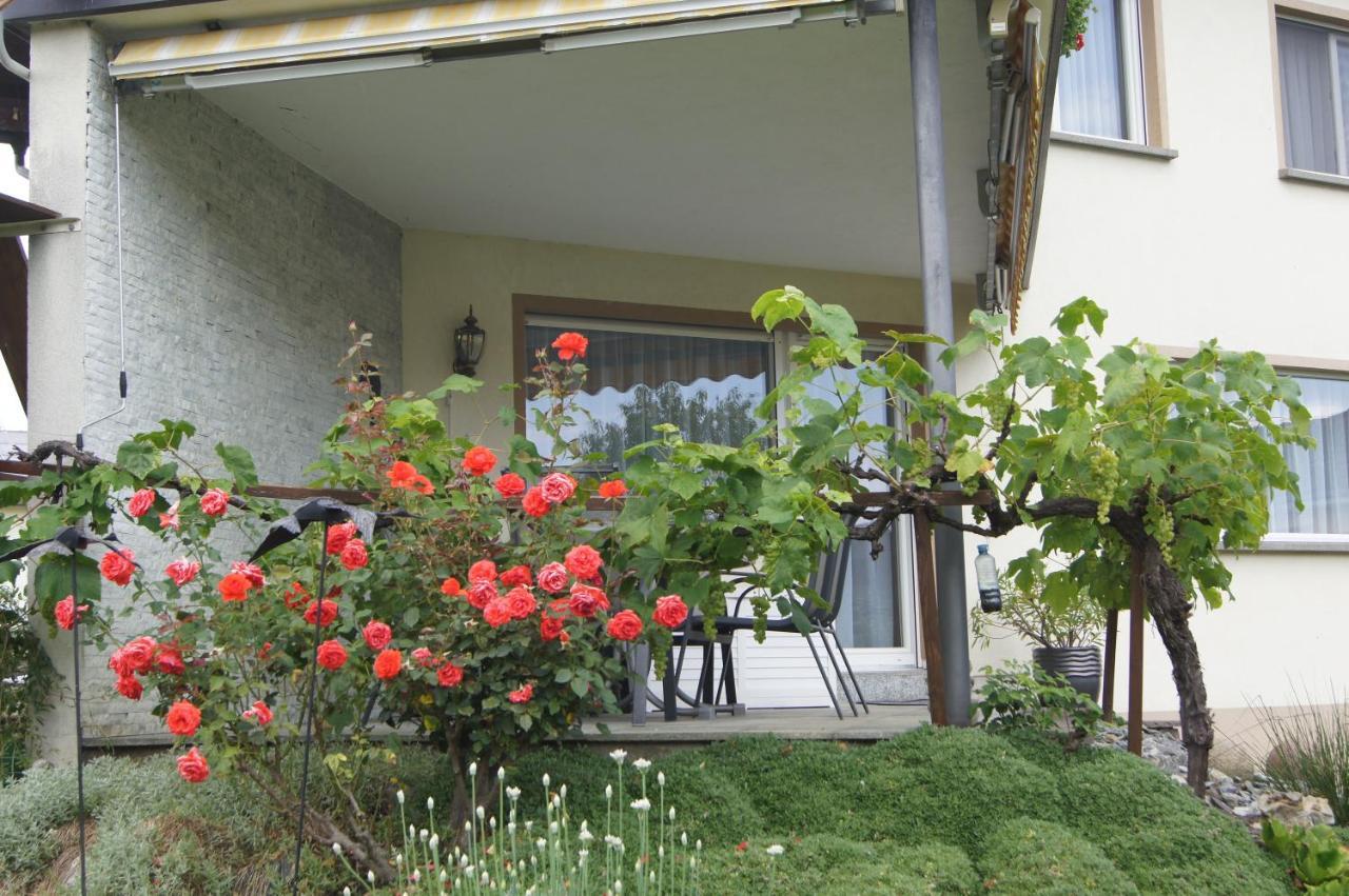 Ferienwohnung Beate Höchst Dış mekan fotoğraf