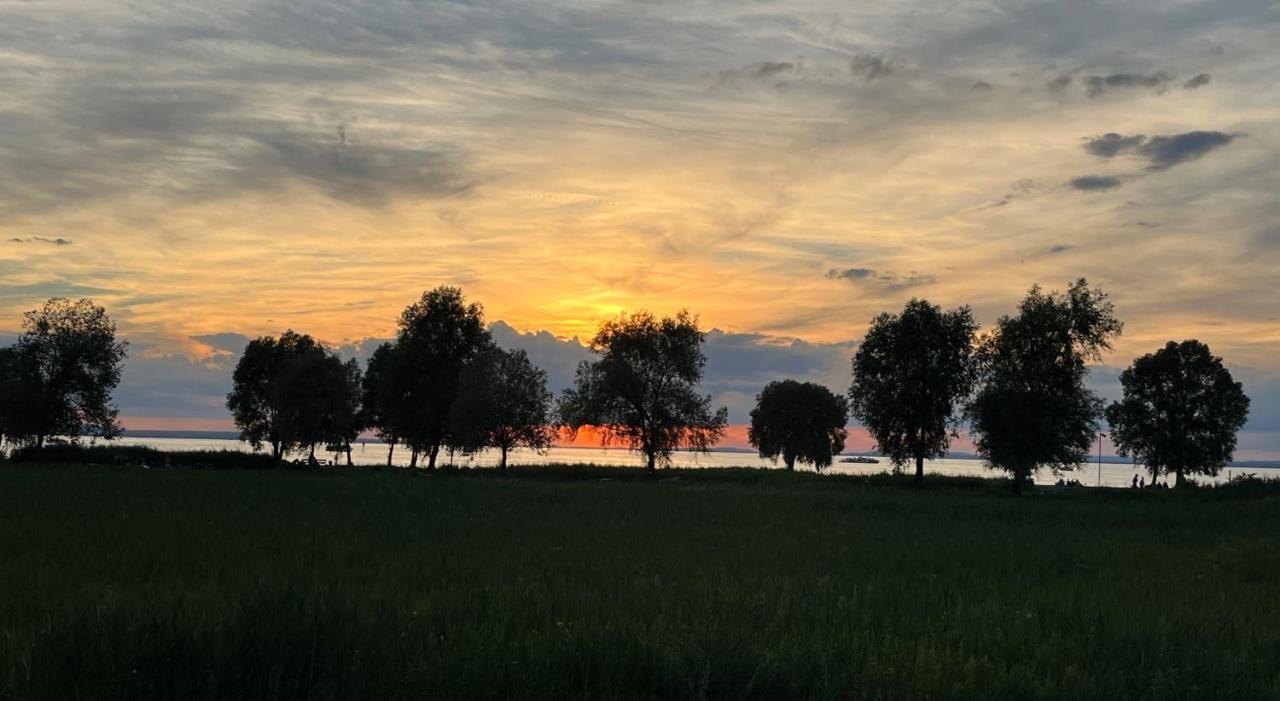 Ferienwohnung Beate Höchst Dış mekan fotoğraf